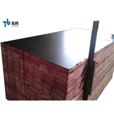 good quality china factory shuttering plywood low price