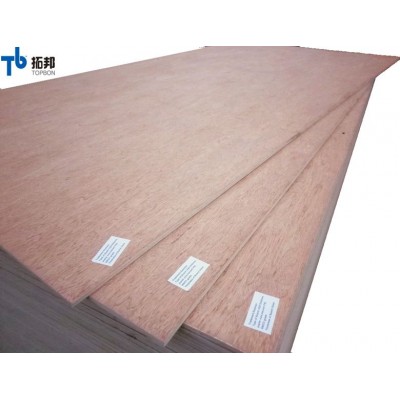 standard sizes  high quality bintangor plywood for sale