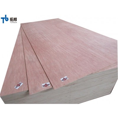 standard sizes good price high quality bintangor plywood