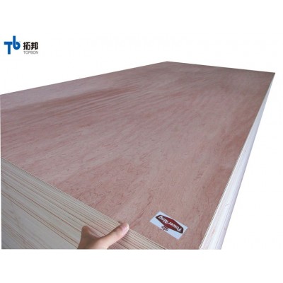 18mm plain price high quality bintangor plywood from china