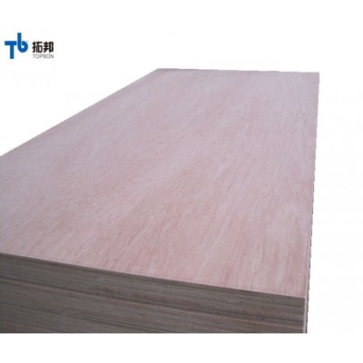 competitive price high quality bintangor plywood