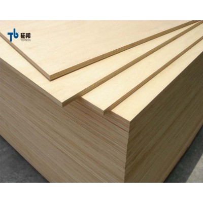 plain nice price birch plywood best quality from china factory