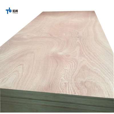 hot sell sapele plywood best quality from china